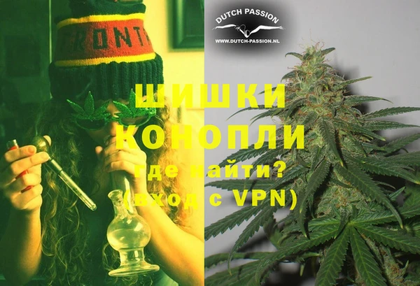 прущие грибы Карпинск
