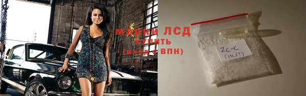 СК Касимов