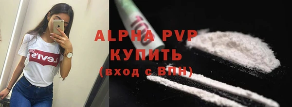 прущие грибы Карпинск