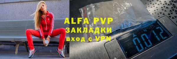 СК Касимов